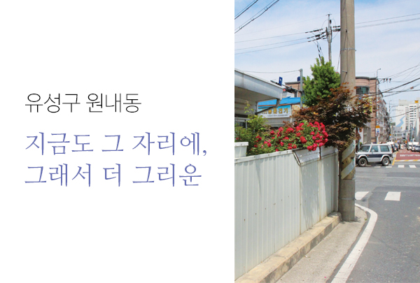 [6월 122호] 유성구 원내동_지금도 그 자리에, 그래서 더 그리운